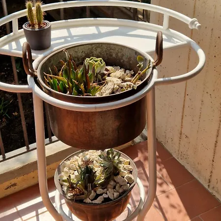 Da Tiffany 度假居 *